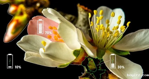 AOTO电子LED屏AI节能技术